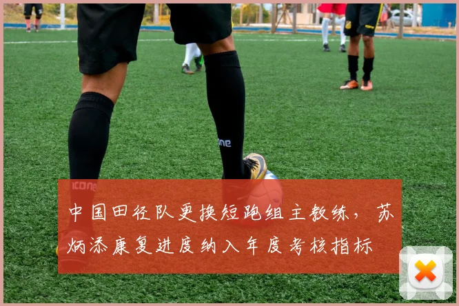 中国田径队更换短跑组主教练，苏炳添康复进度纳入年度考核指标